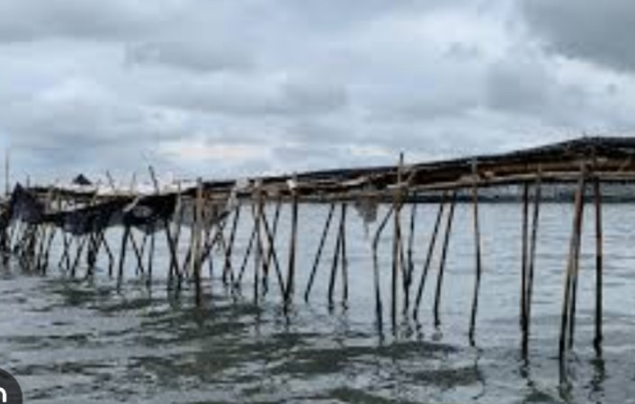 Kalau ente goblok jangan dilihatin ke publik donk, ombak apa yang di pecah oleh bambu yang ditancapkan jarang begitu ?

Noh gue tunjukkan pemecah ombak sesungguhnya. 🤣