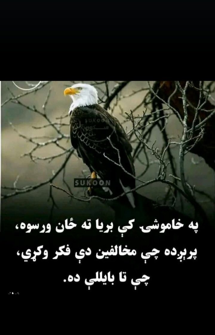BasilKh52889088's tweet photo. https://t.co/RrHyyYXd8o