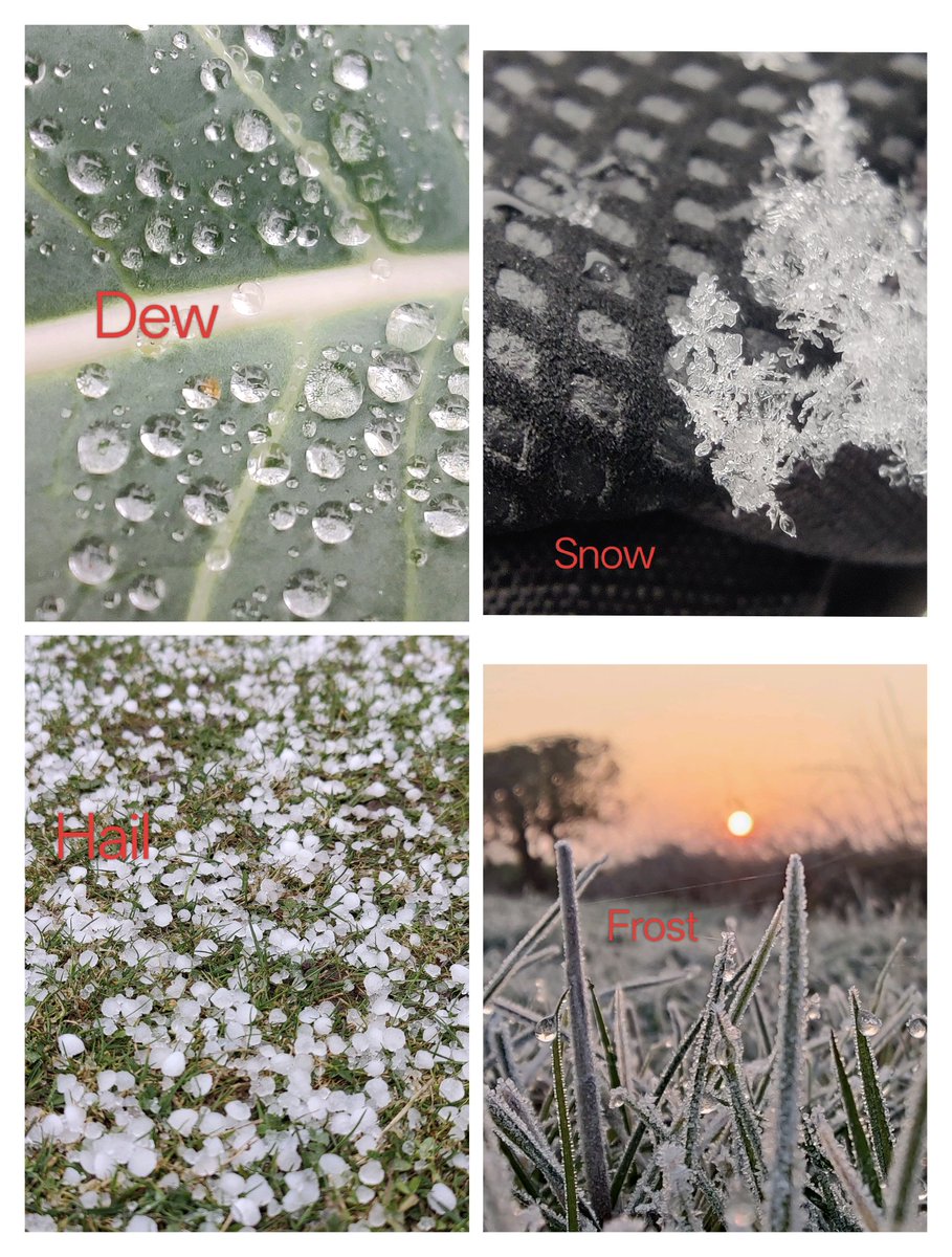 shetty_athreya's tweet photo. #TriviaSunday
Differences between common #WinterPrecipitation & Condensation forms in India -
1) Dew is when saturated air temperature falls below dew point, causing moisture to condense into water droplets onto surfaces.
2) Frost is formed when the air temperature drops close to or below 0ยฐC and moisture molecules cling as tiny ice crystals onto surfaces.
3) All precipitation from clouds starts out as Snow. As the snowflakes fall thru the warmer air they melt into rain. However, if the freezing layer is low enough (especially during WDs for us in India) this snow doesn't melt completely before reaching the ground, resulting in wet snowfall.
4) Hail is formed when turbulent rising air carries rain drops upwards thru CB clouds beyond the freezing height covering them to ice pieces. These ice crystals then begin to melt as they fall down, getting coated with more water before being pushed upward again thru rising updrafts. This process continues, causing the hailstone to grow in size rapidly until it's too heavy to be held by the rising air, falling to the ground as hail.