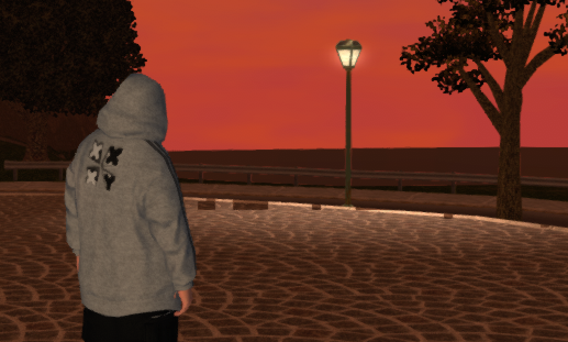 anyone here know enough abt emulation to know why my sr1 copy is doing this ? it happens around characters too