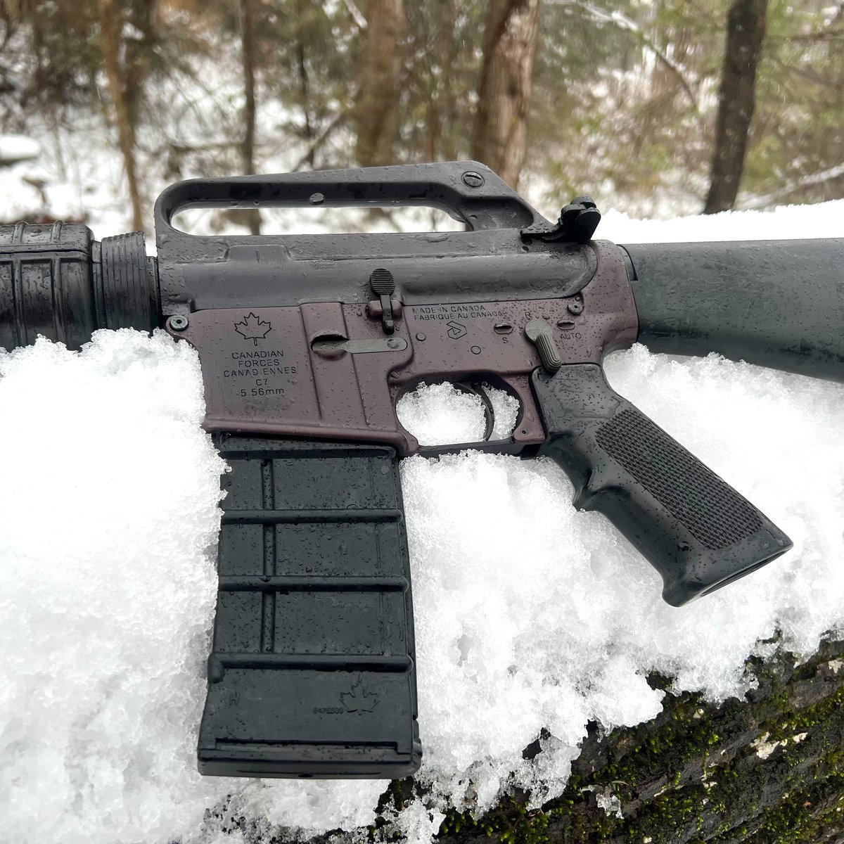 MichaelMacRTR's tweet image. Diemaco C7 in its natural habitat. 🇨🇦