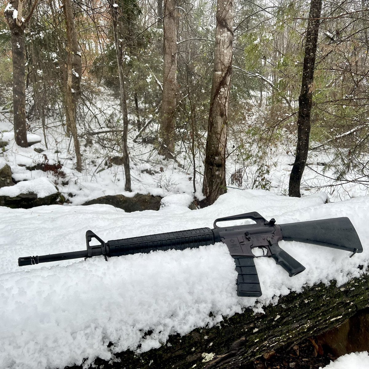 MichaelMacRTR's tweet image. Diemaco C7 in its natural habitat. 🇨🇦