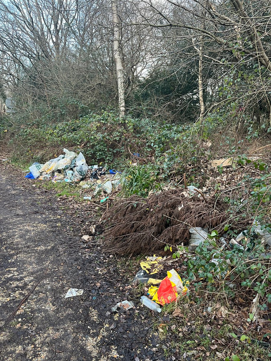 cleanupbritain's tweet photo. The New Forest... 
.... "an area of outstanding natural beauty" 
(and unnatural ugliness)
@NewForestNPA @reallorraine @campbellclaret https://t.co/9T0eDPcgye
