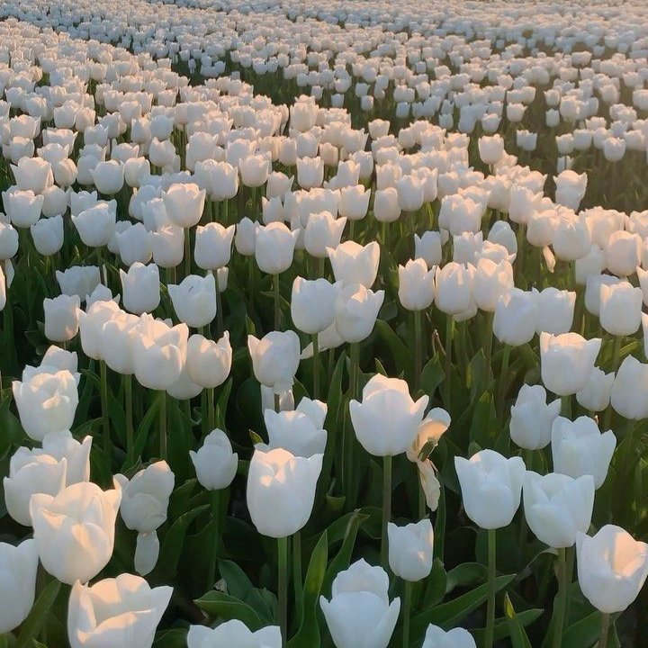 objunseok's tweet image. 