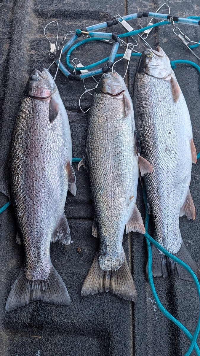 We were out of the money but placed well yesterday at the ice fishing tournament. 🎣 🏔️