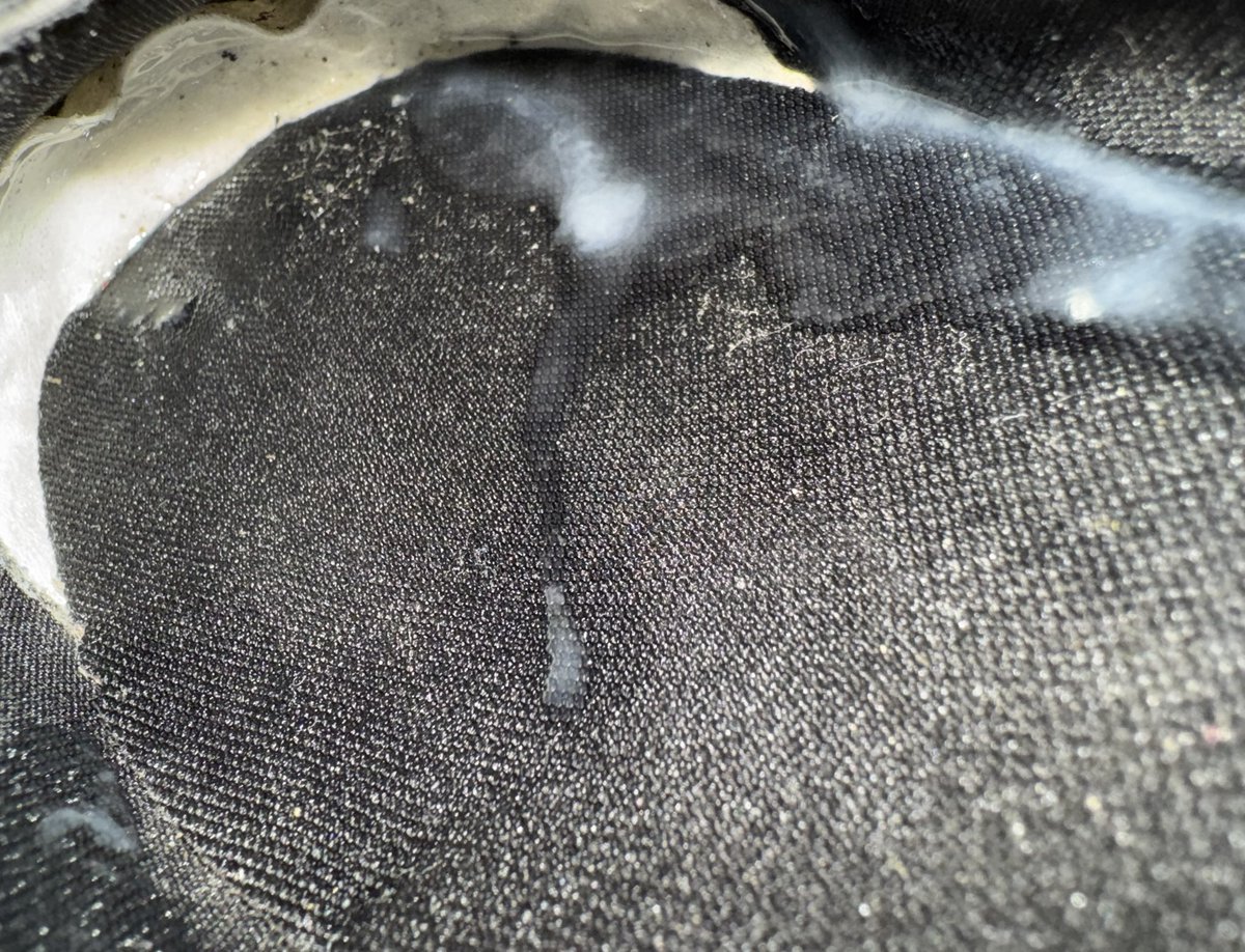 Focie (@focie4) on Twitter photo 