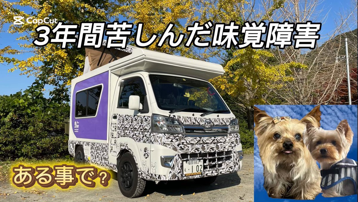 3年間苦しんだ味覚障害がわずか1日でほぼ回復しました
そこには考えられない原因がありました。
YouTubeで公開してます。

youtu.be/E39WU-C5agA?si…