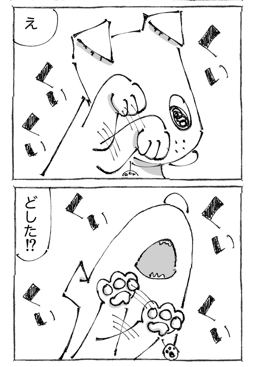 【1/3】 