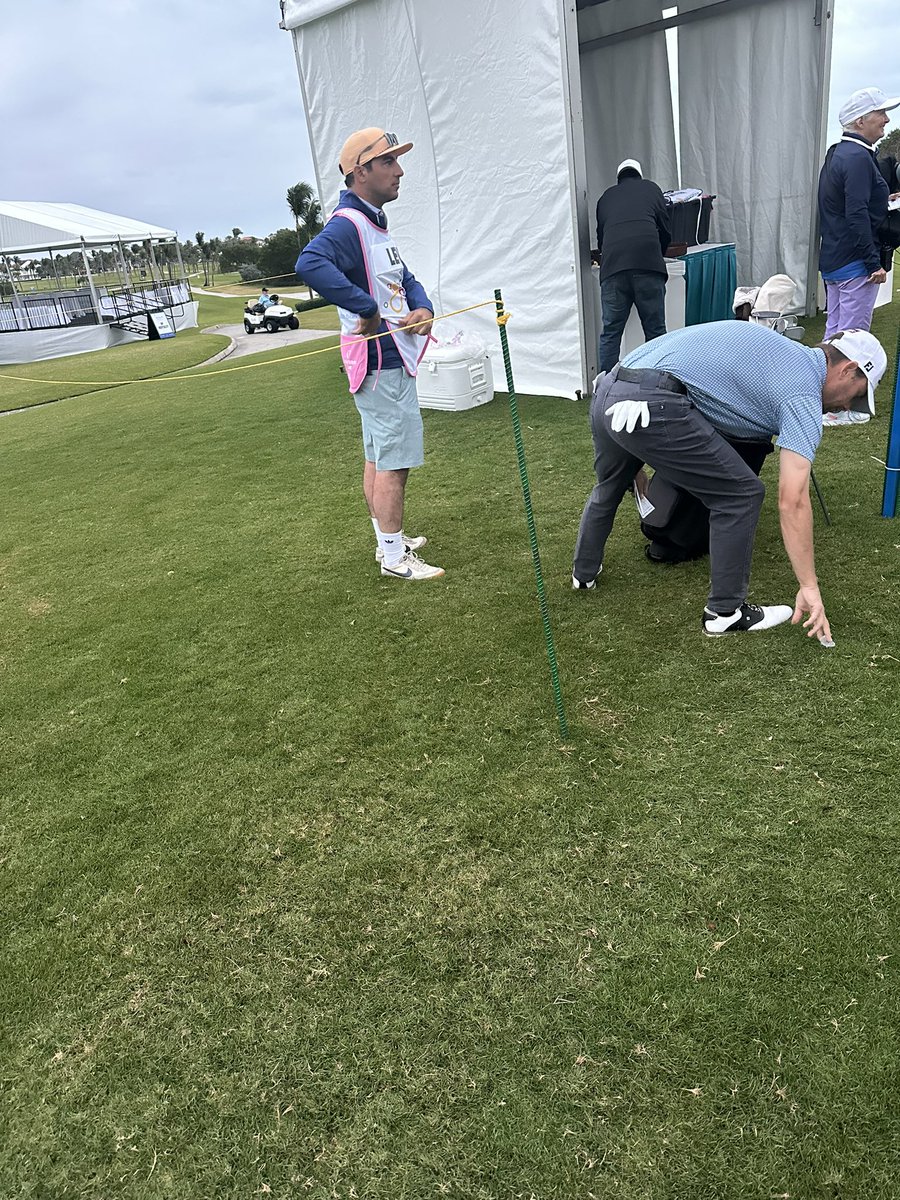 Monday Q Info tweet media