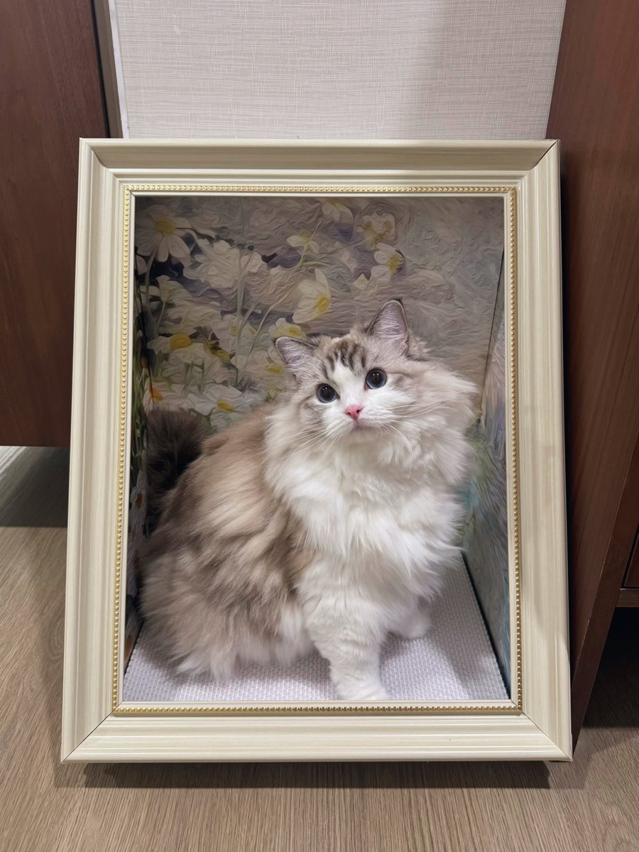 _11_11_R's tweet photo. 淘宝で買った絵画の爪研ぎ🖼️♡
気に入って使ってくれて嬉しいし、可愛い写真がどんどん増えてく🫶🏻 https://t.co/ZXcLOCVz5T