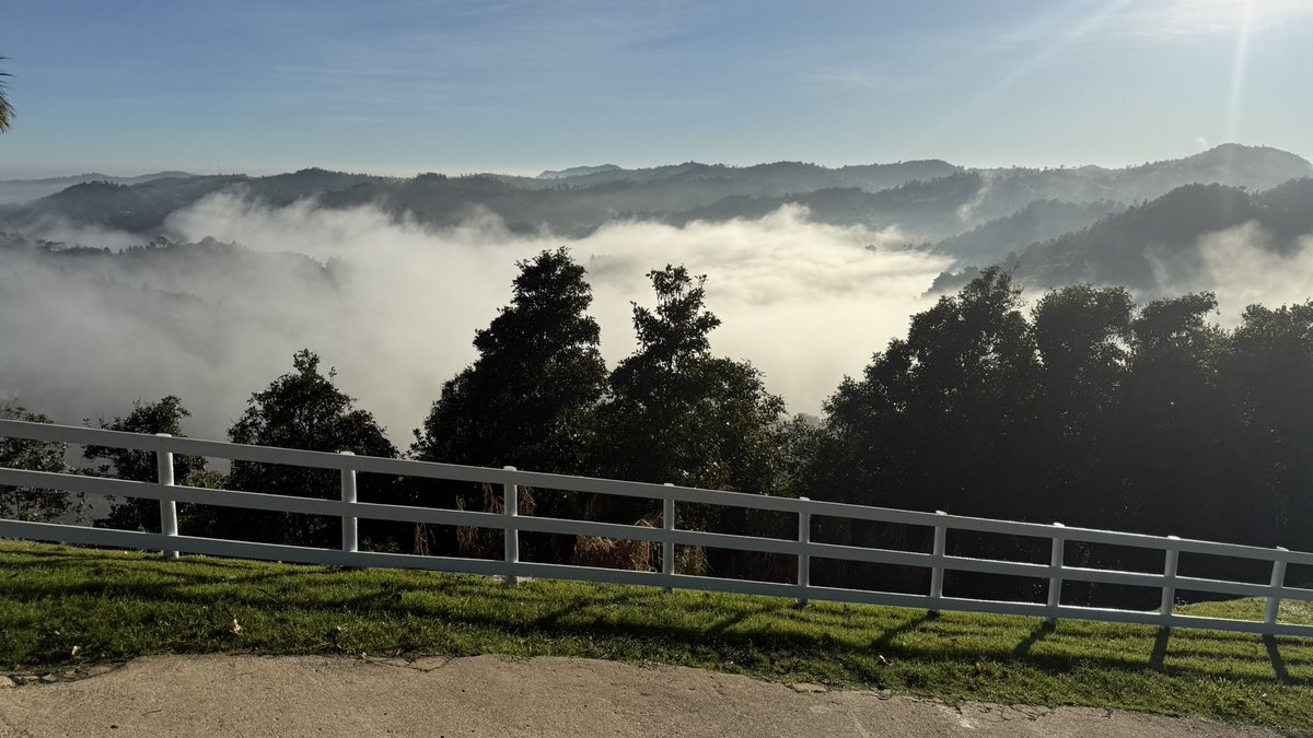 carlosipesquera's tweet photo. Un amanecer entre luz y niebla https://t.co/lm6BIaO6Jc