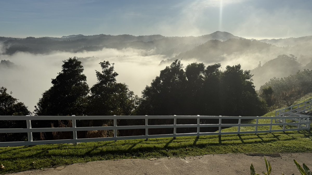 carlosipesquera's tweet photo. Un amanecer entre luz y niebla https://t.co/lm6BIaO6Jc