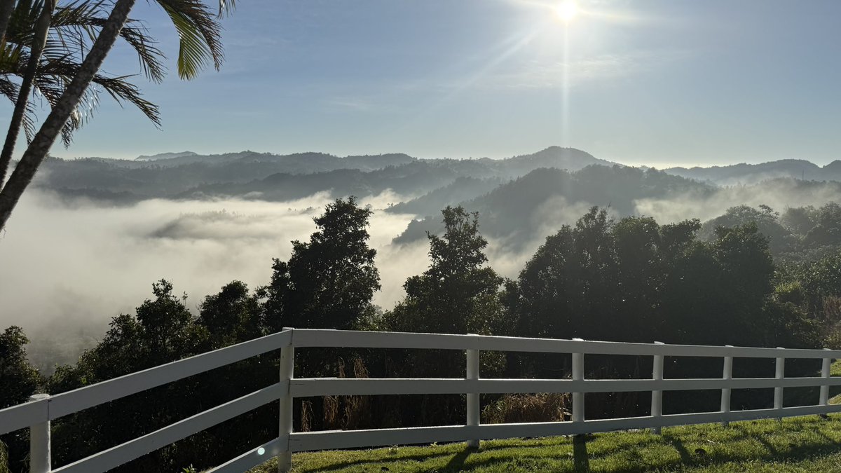 carlosipesquera's tweet photo. Un amanecer entre luz y niebla https://t.co/lm6BIaO6Jc