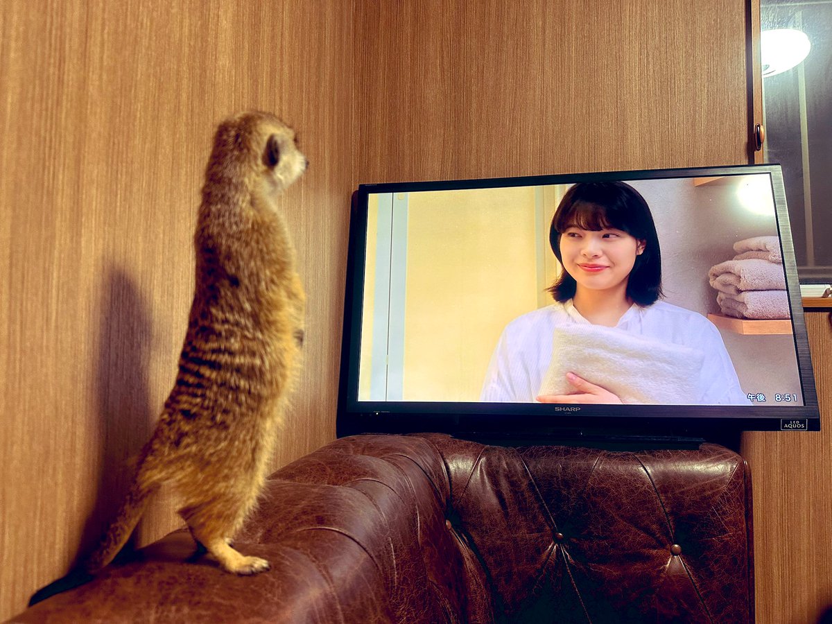 紅龍マスター Eiji tweet media
