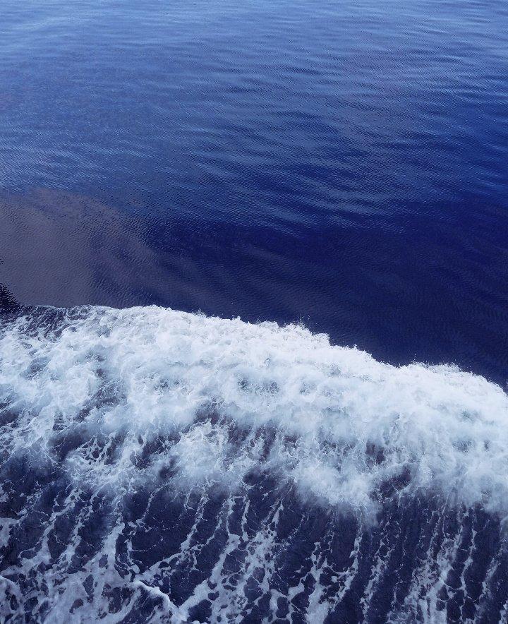 kiissedbypoem's tweet photo. Reading with the view 🌊📖 https://t.co/BAQ55U4DeA