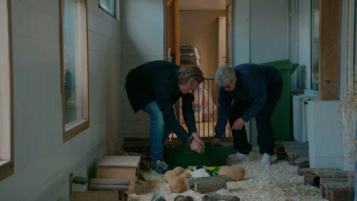 DierenLot's tweet photo. Vanaf volgende week 18 januari wordt seizoen 3 van ons tv-programma Samen Voor Dieren weer bij @SBS6 uitgezonden. 6 weken lang is op zaterdag om 16.30 uur en op zondag om 12.30 te zien hoe dierenarts @PietHellemans langsgaat bij dierenhulporganisaties. 

#samenvoordieren https://t.co/ldLZ0C8U4T