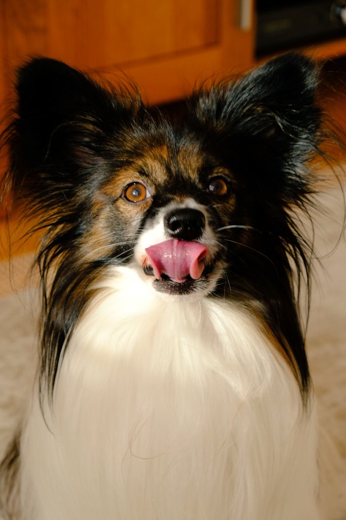 A ruličku, tu umíte? 😉💙