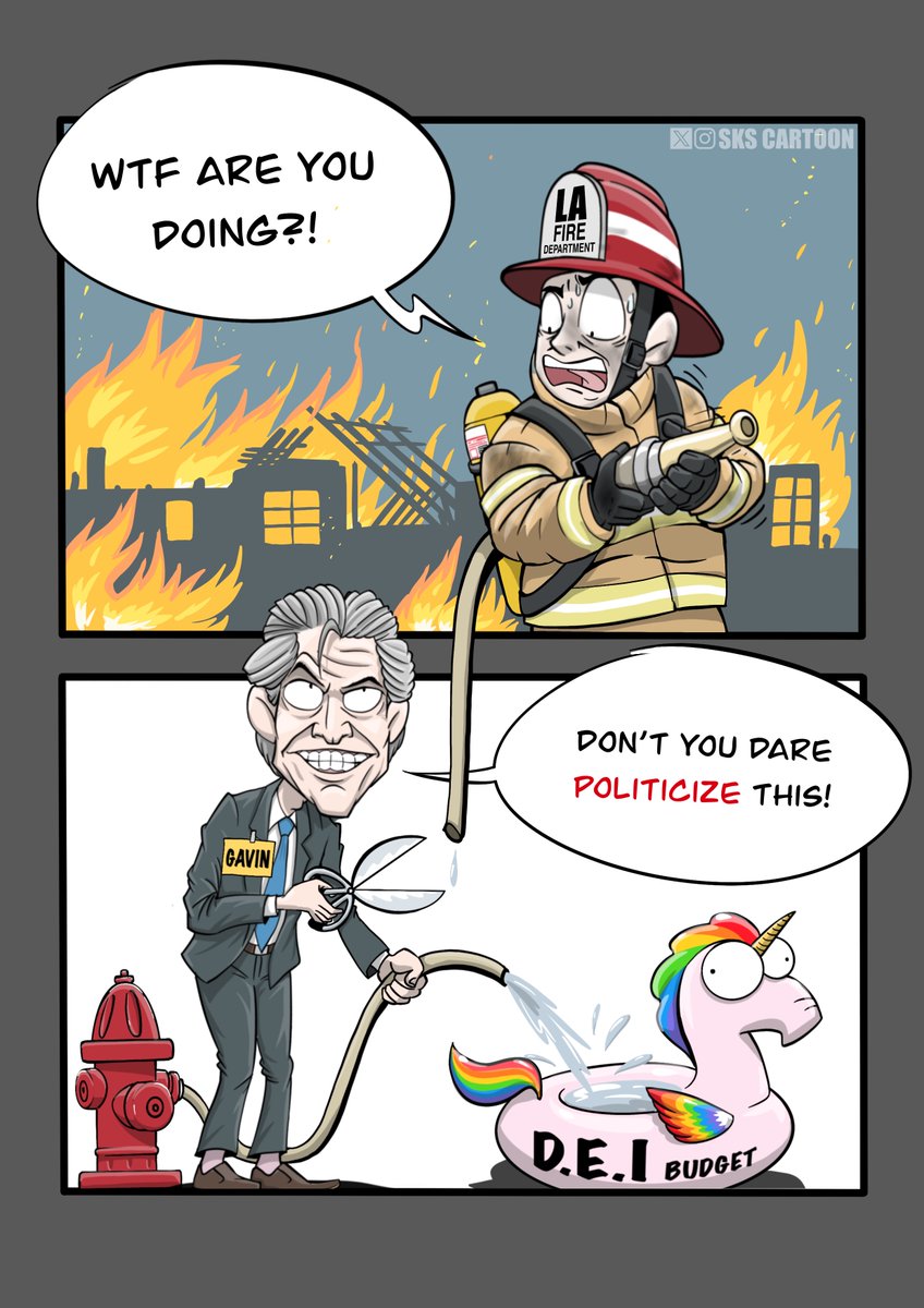 skscartoon's tweet photo. #GavinNewsom must resign over the #LosAngelesFire https://t.co/SSZkJfELii