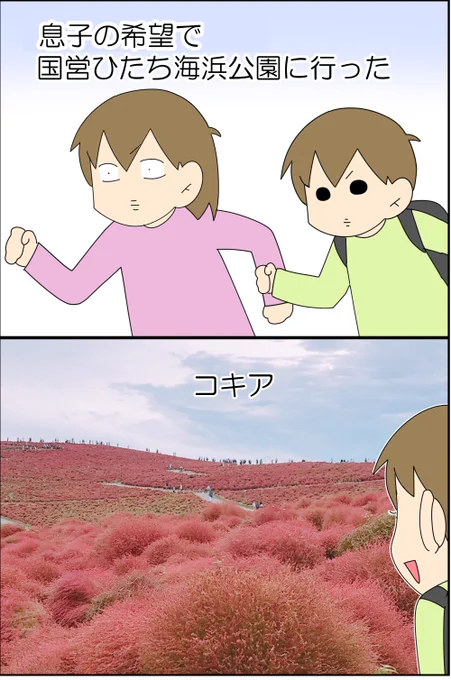 インスタグラマーやTikTokerにケンカを売るかもしれない漫画 1/3
#漫画が読めるハッシュタグ #コミックエッセイ 