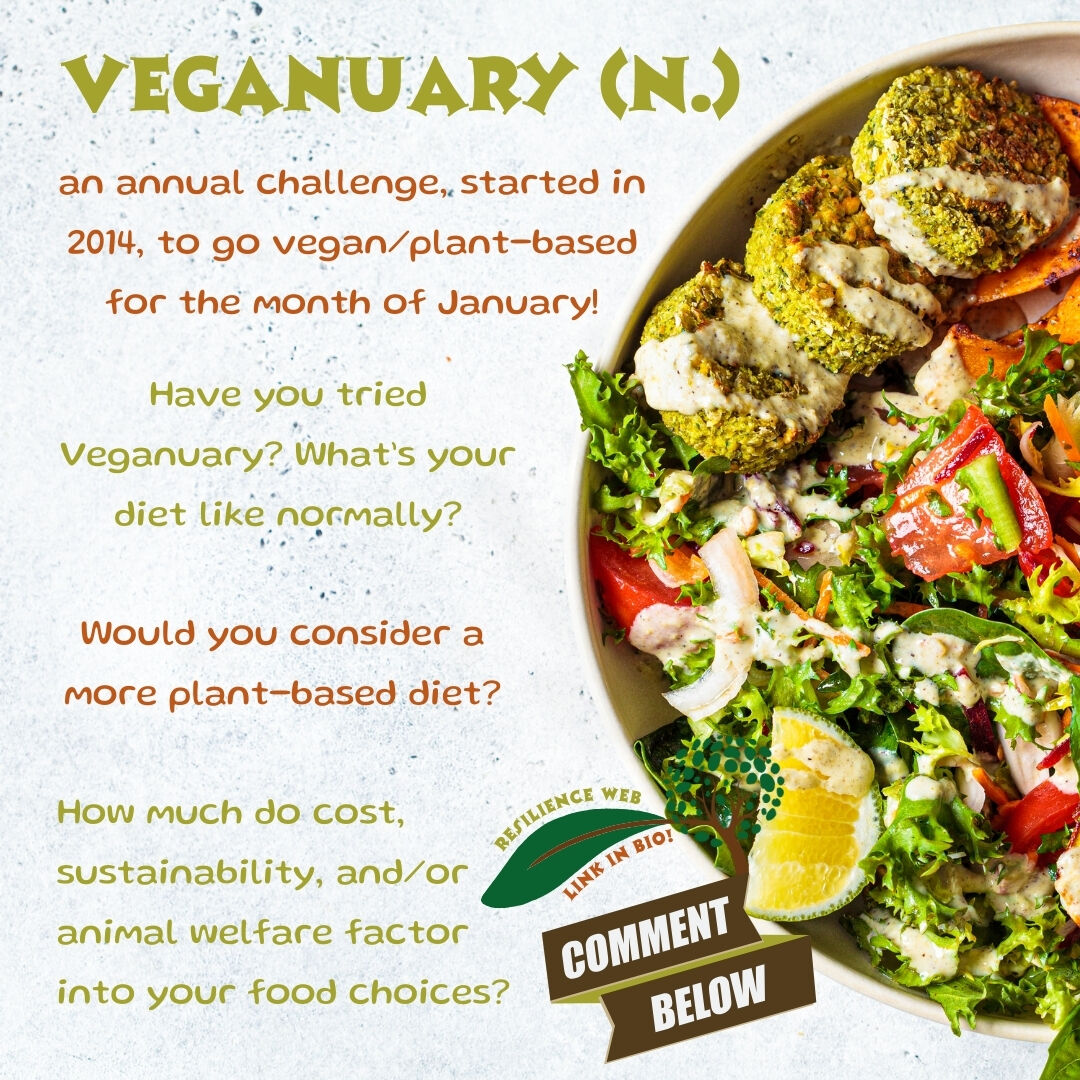 It's Veganuary! 🌱 For over a decade, this annual event has challenged people to switch to plant-based meals for the month of January 🫘 Have you given it a try yet? #SunggestionBox