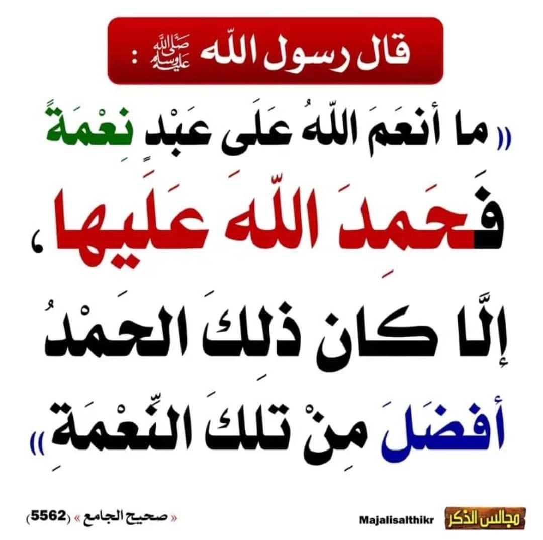 ولد زايد tweet media
