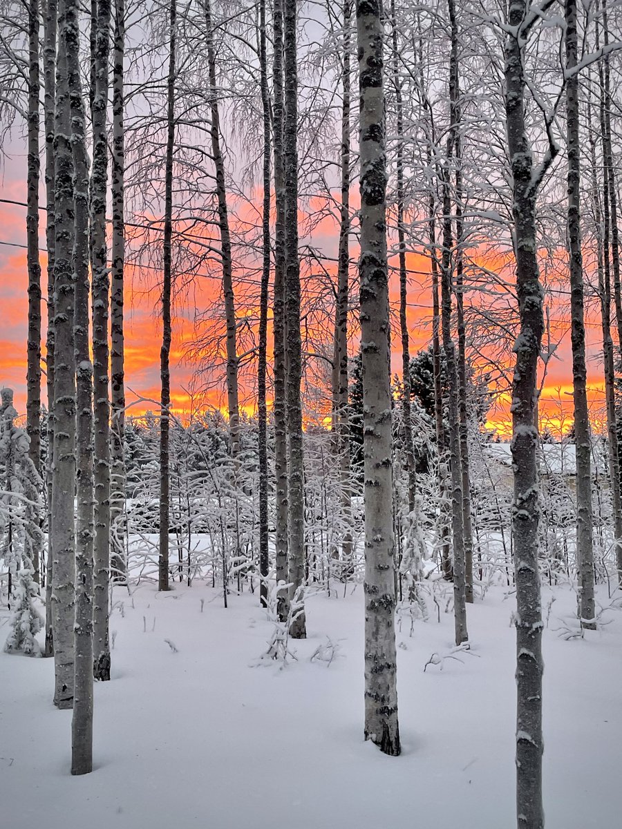 Fabulous sunset, upea auringonlasku #sunset #WinterWonderland #lapland #NatureBeauty