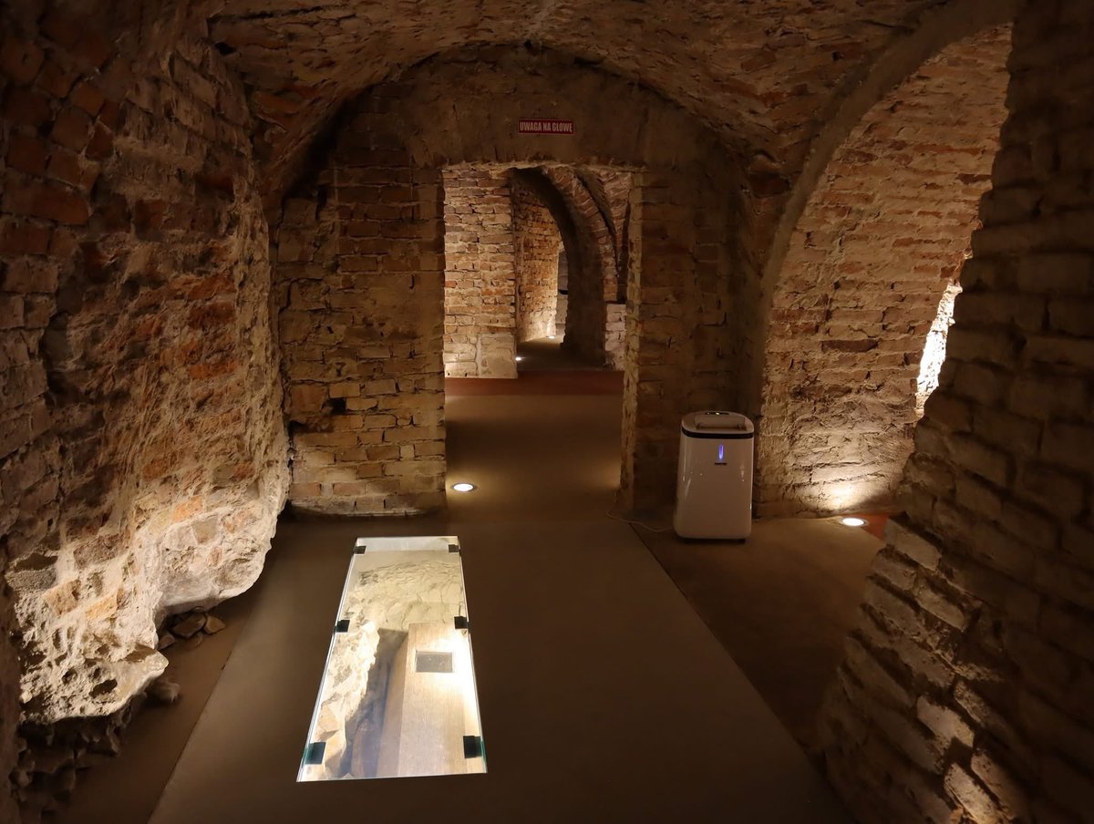 🏛️Pod chełmską Bazyliką znajdziemy tajemnicze krypty, lochy i korytarze pełne tajemnic z absydą XIII Cerkwi. 

Ewenementem są murowane trumny, przypominające łodzie wikingów. 

🫅Ciągle trwają poszukiwania kolejnych członków rodu Rurykowiczów, w tym Daniela Halickiego.