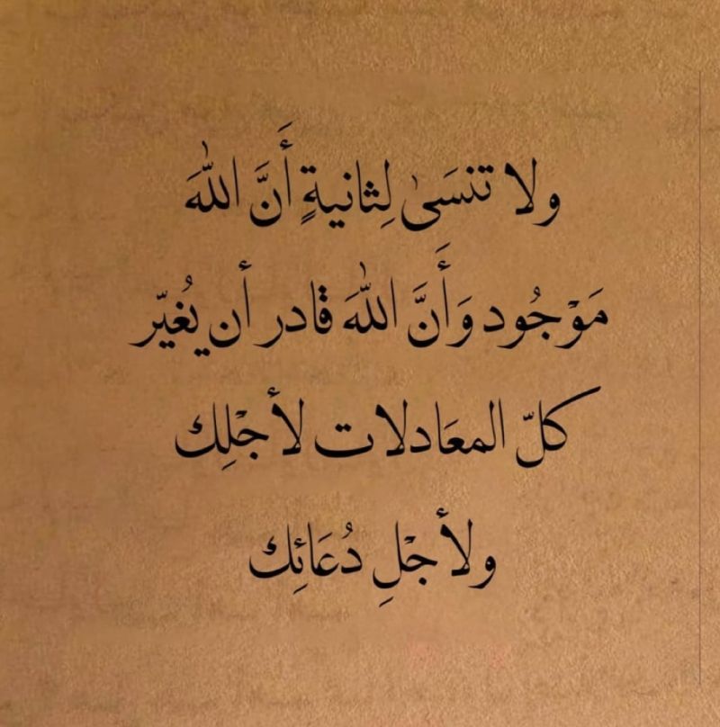 Youssef Rady (@youssefradi4602) on Twitter photo 