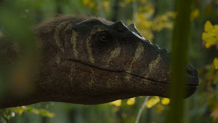 Krusty935's tweet photo. I think accurate dinosaurs will always be infinitely more interesting and cooler to me, as we get closer to showing 100% what they looked like

Because it's a case of "oh shit...wait that ACTUALLY existed on this planet at one point and it looked like THAT https://t.co/xD3sIST7IL