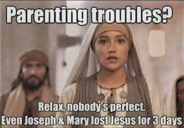 Katie Harrison tweet media