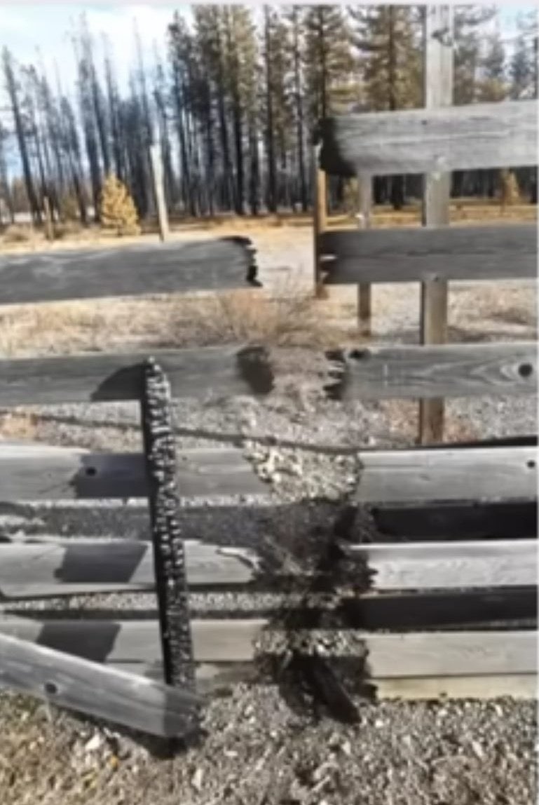 Silverwrx1's tweet photo. @ThrillaRilla369 Nah, nothing to see here. 

Pic from a strange fire. https://t.co/O3k824Npra