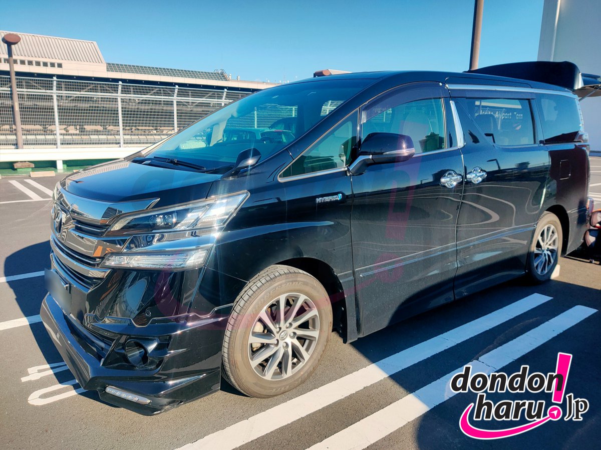 Dondon Haru Japan! tweet media