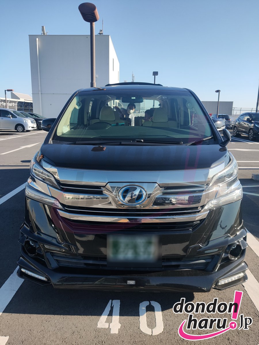 Dondon Haru Japan! tweet media