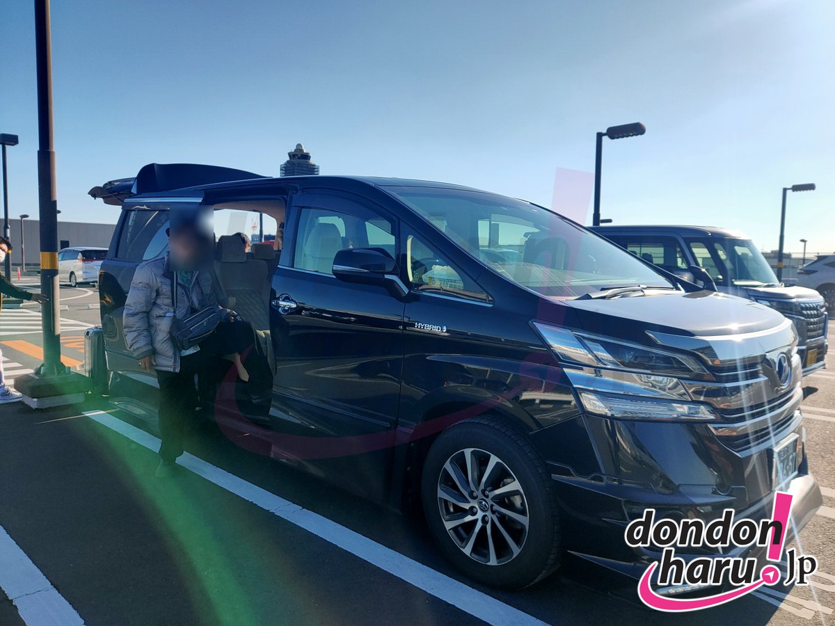 Dondon Haru Japan! tweet media