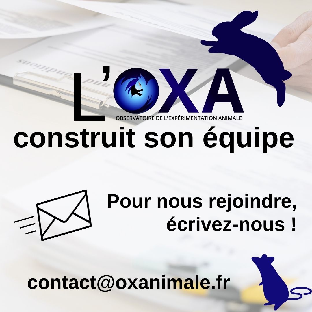 Observatoire de l'Expérimentation Animale tweet media