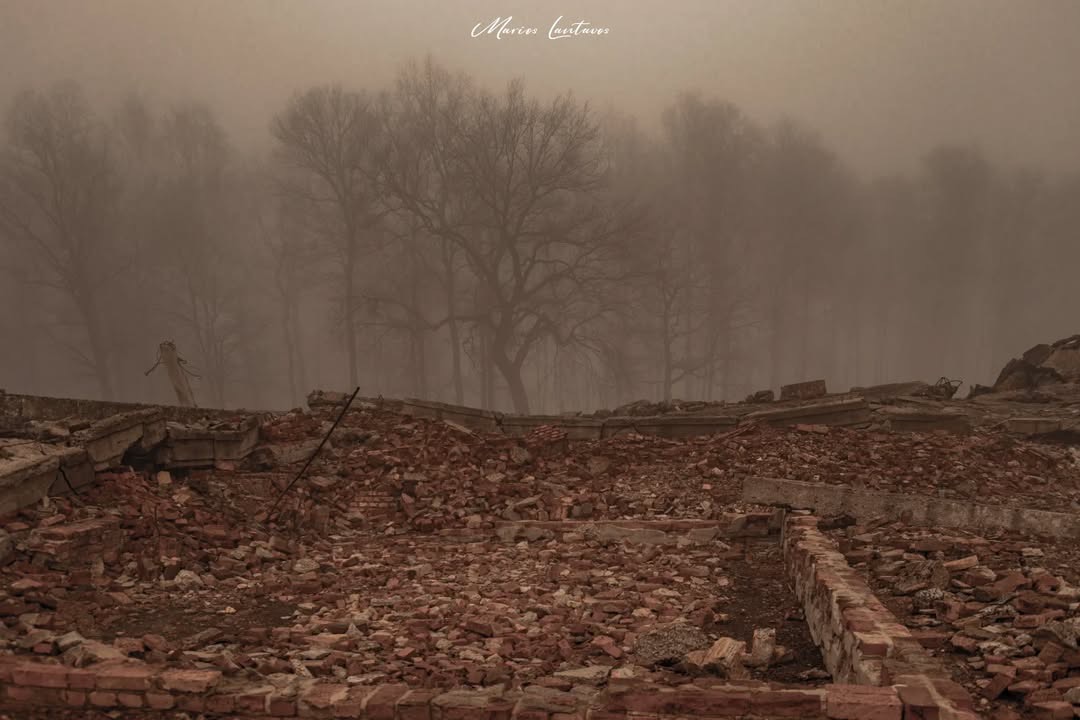 AuschwitzMuseum's tweet photo. Auschwitz II-Birkenau. Ruins of gas chamber and crematorium III. 

See our short film about the history of the infrastructure of murder in #Auschwitz: https://t.co/5SN571KUQN

(Photo: https://t.co/5aEvGtGFE9) https://t.co/B32HieY5rc
