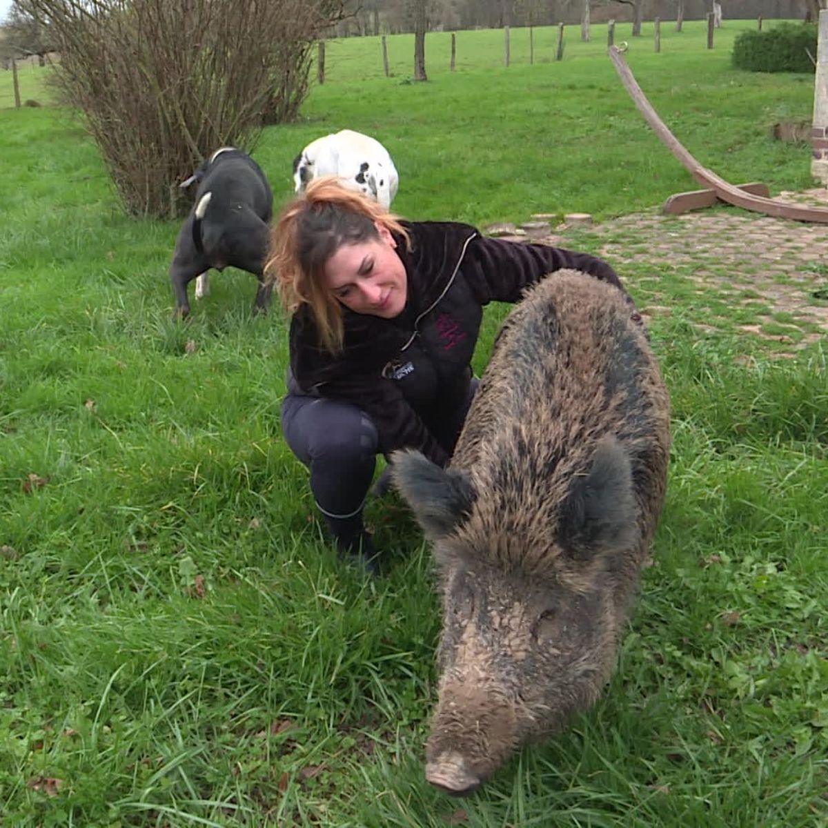 RILLETTE est le symbole d'un pays dont l'Administration a pour mission d'assurer le maintien d'un système généralisé de maltraitance animale (élevage, chasse, expérimentation animale, corrida,...). Voilà la réalité !

#sauvezrillette 

<a href="/afpfr/">Agence France-Presse</a> 
<a href="/libe/">Libération</a> 
<a href="/courbet_julien/">Julien Courbet</a> 
<a href="/BFMTV/">BFM</a>