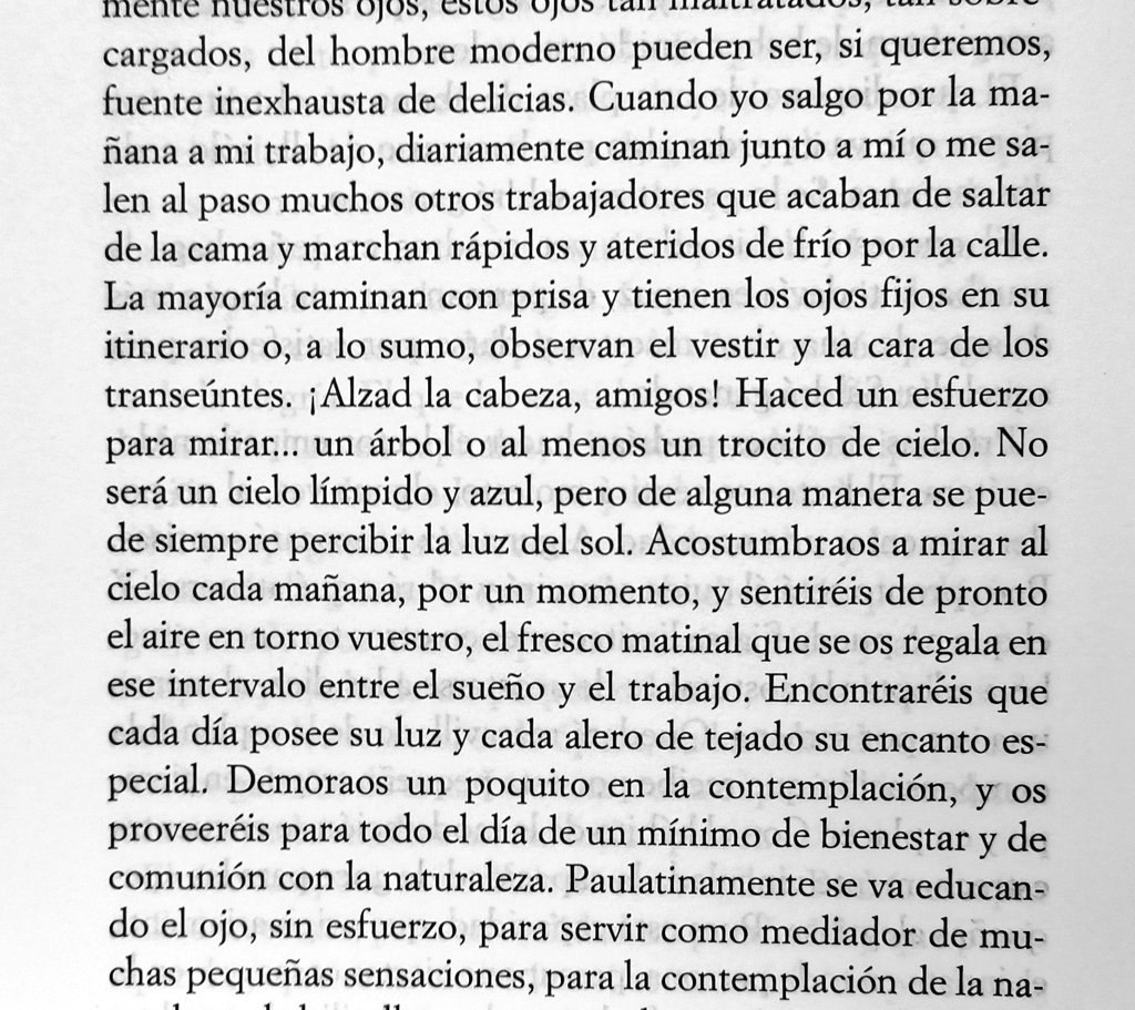 Mauro Jiménez tweet media