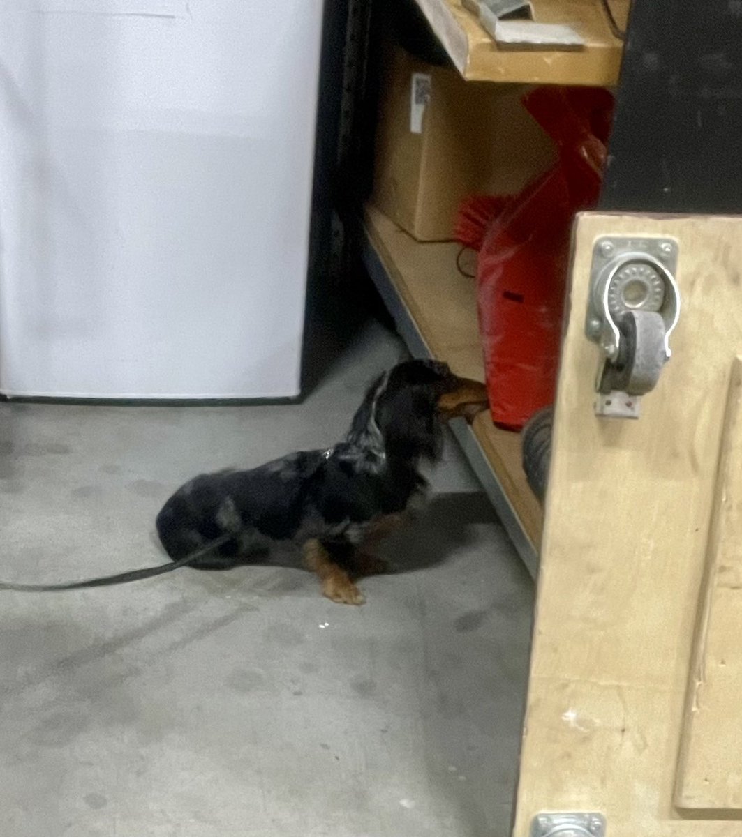 instagram.com/p/DEuBYXkskph/…