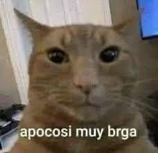 OyeDieguito's tweet photo. Yo: ¡2025 sorpréndeme!
El 2025:

#sismo #alertasismica #temblor https://t.co/26aiRpFGrc