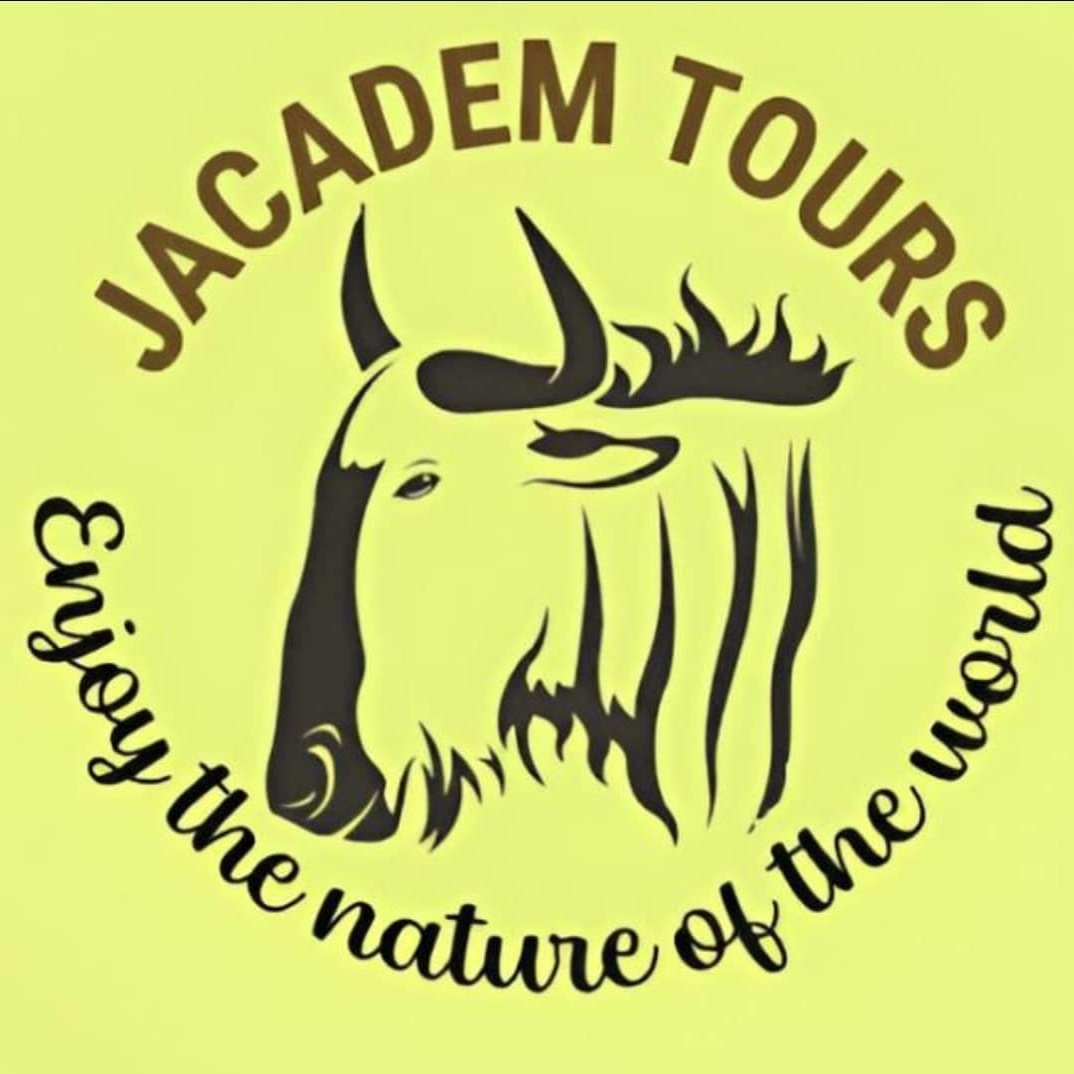 JacademTours's tweet photo. #NewProfilePic https://t.co/0eCcosaeBE