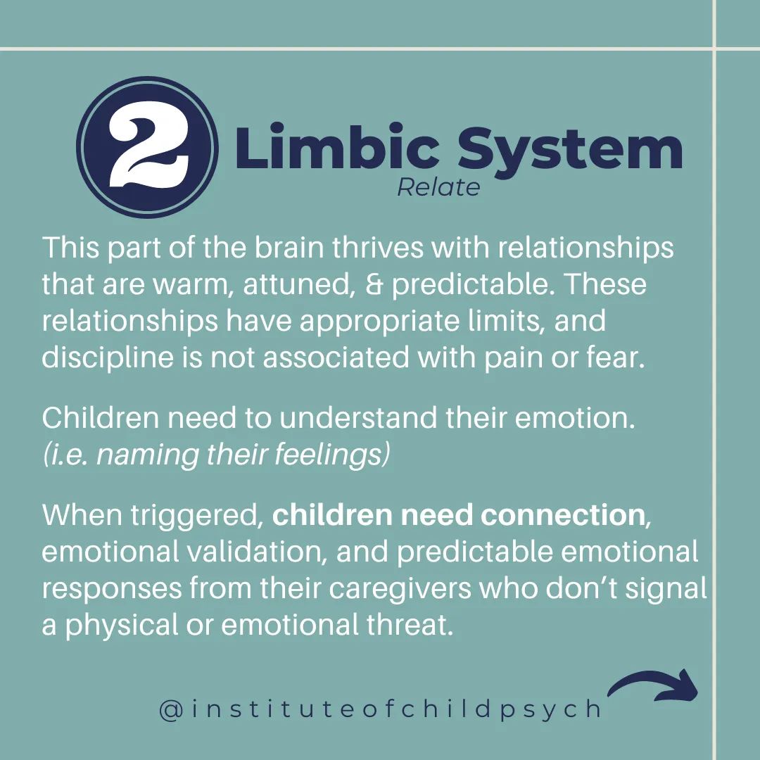 Gerry🧠🌱 tweet media