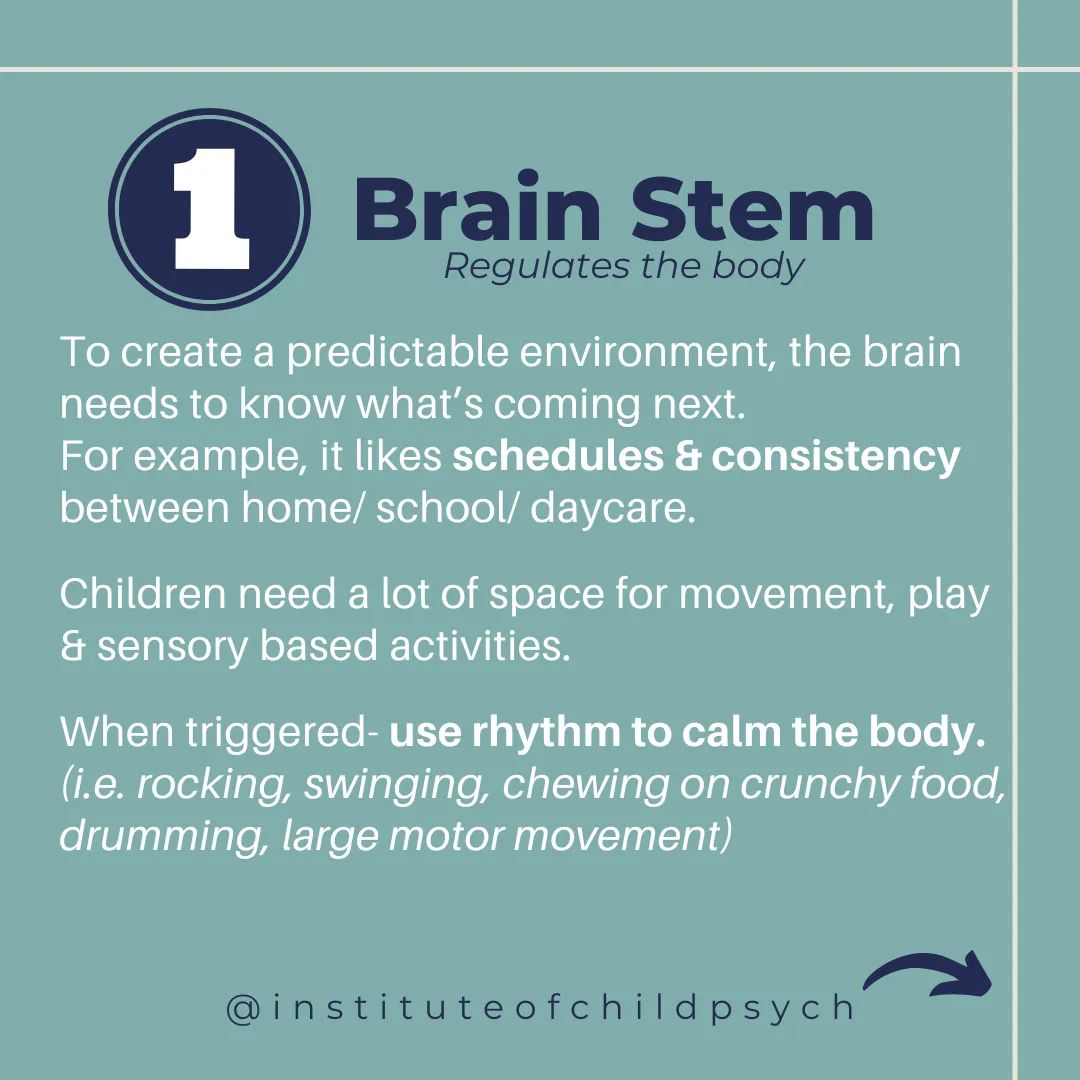 Gerry🧠🌱 tweet media