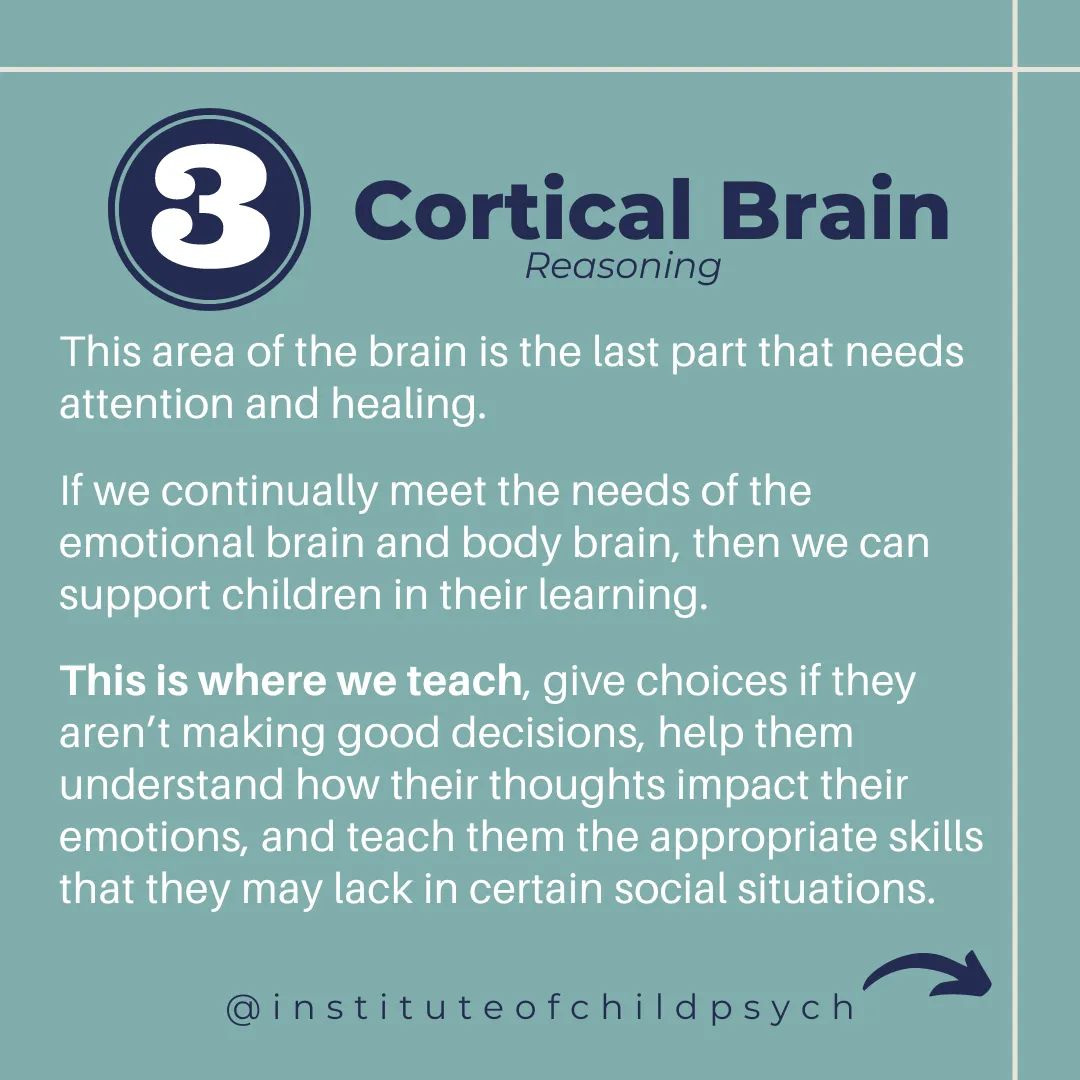 Trying to teach without knowing how the brain works would be as much as pretending to design a glove without having ever seen a hand.🧠🌱