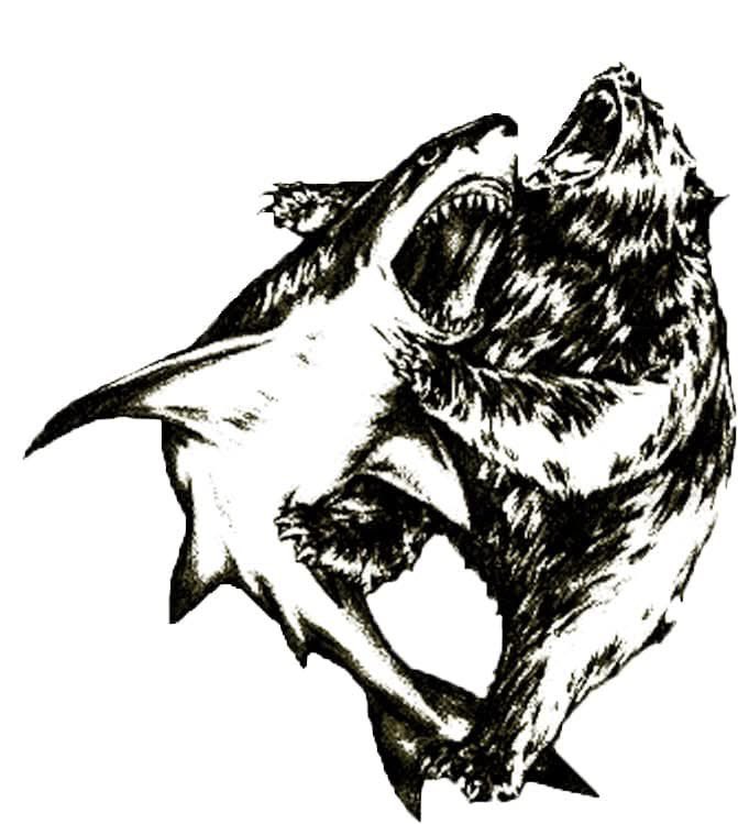 reconfoundation's tweet photo. Team BEARSHARK.  Never forget. https://t.co/tyVFHg8uwv