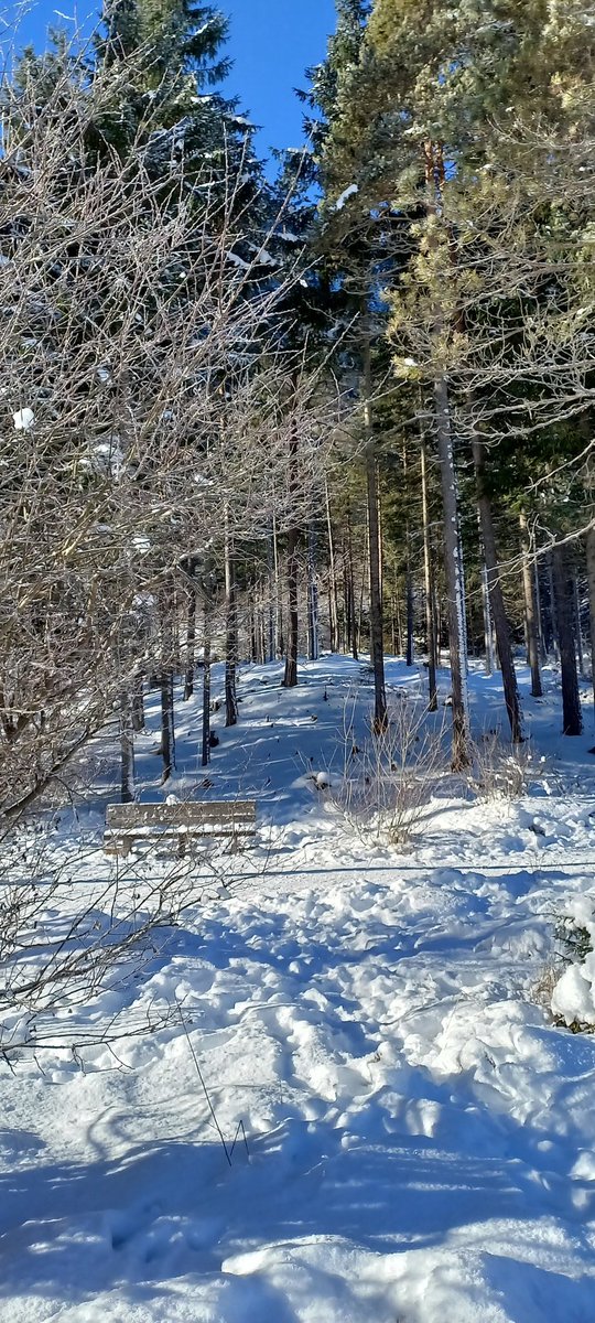 barbaraluna25's tweet image. La magia dell'inverno in montagna ❄️

📷 💙