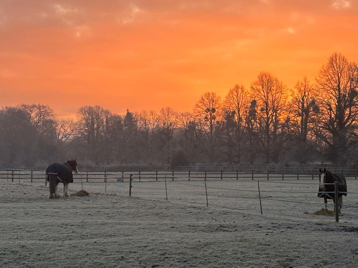 CityHorses's tweet image. Beautiful chilly morning for the horses on rest days ❄️ keep wrapped up warm everyone and enjoy your Sunday. #PHPrimrose &amp;amp; #PHGilbert will be venturing to @TowerOfLondon area today. Give us a wave if you see us 👋