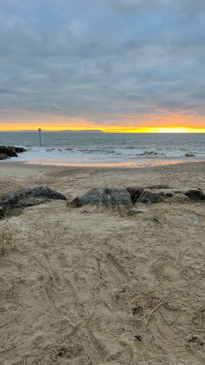 Matt Holton tweet media