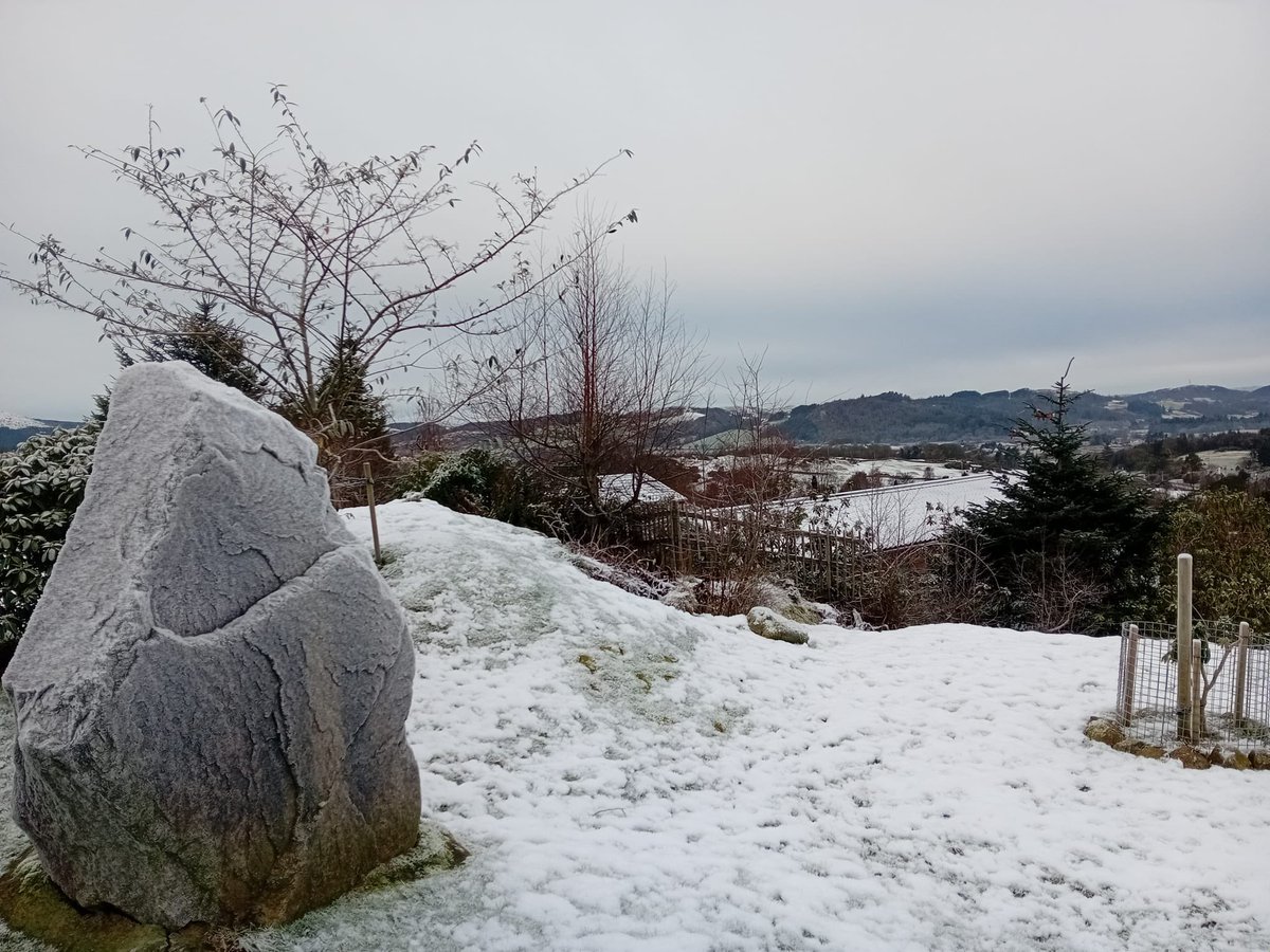 Rest and be thankful bench at #coastalkippford with its winter coat on