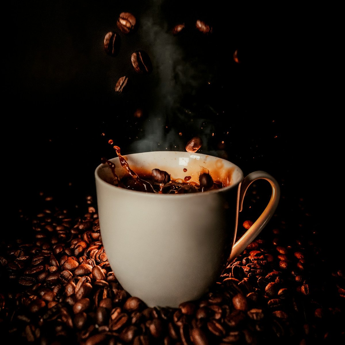 Jeff Lanctot tweet media